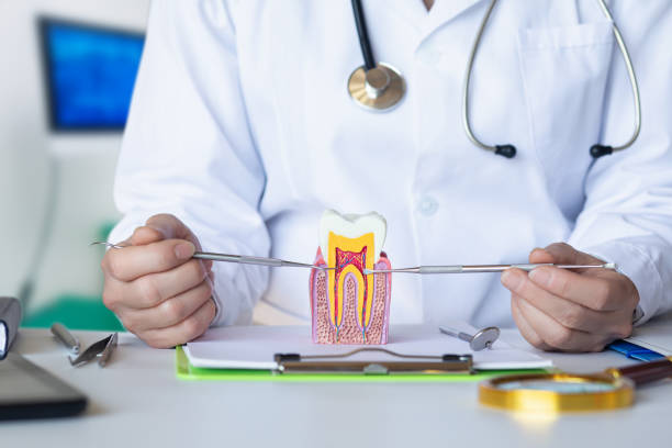 Best Pediatric Emergency Dentist in Keokuk, IA
